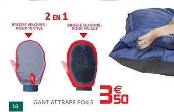 Gant Attrape Poils