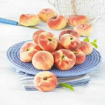 U Express PECHE PLATE offre