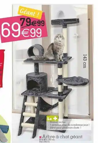 Kandy Arbre à Chat Géant offre