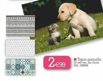 Kandy Tapis Gamelle offre