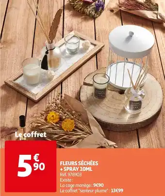 Auchan Fleurs séchées + spray 10ml offre