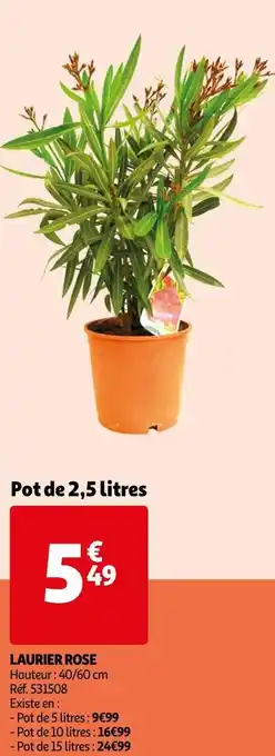 Auchan Laurier rose offre