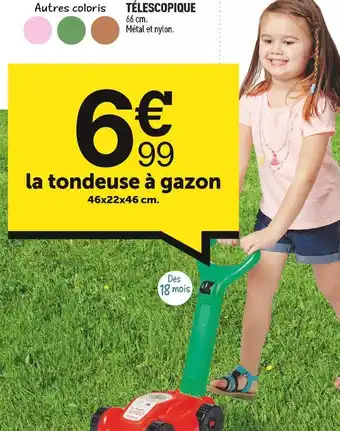 La tondeuse à gazon