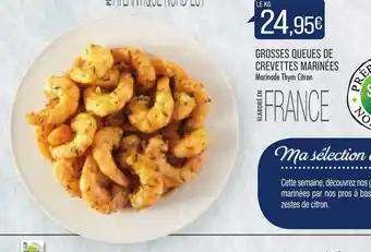 Match Grosses Queues de Crevettes Marinées offre