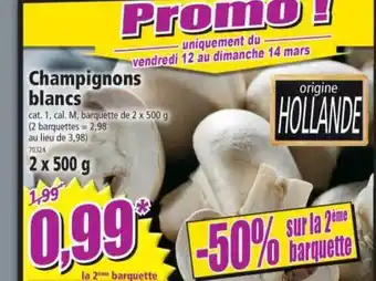 Norma Champignons Blancs offre