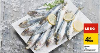 Carrefour Sardine offre