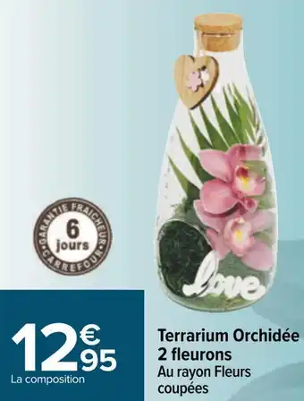 Carrefour Terrarium orchidée 2 fleurons offre