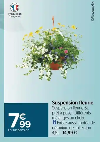Carrefour Suspension fleurie offre