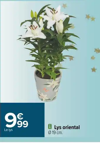 Carrefour Lys oriental offre