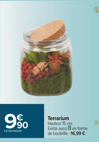 Carrefour Terrarium offre