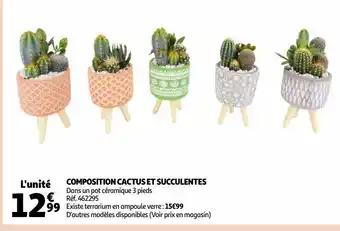 Auchan Composition cactus et succulentes offre