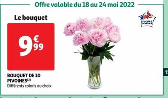 Bouquet de 10 pivoines