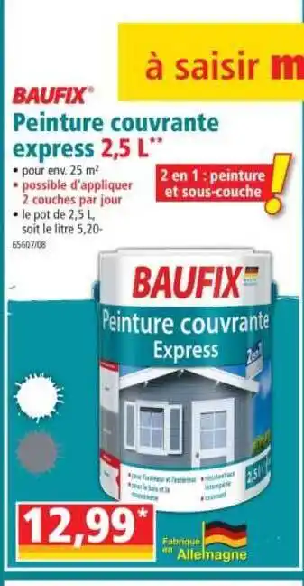 Norma Peinture Couvrante Express Baufix offre