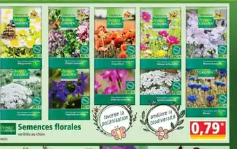 Norma Semences Florales Finest Garden offre