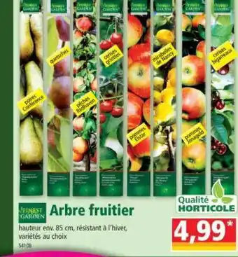 Norma Arbre Fruitier Finest Garden offre