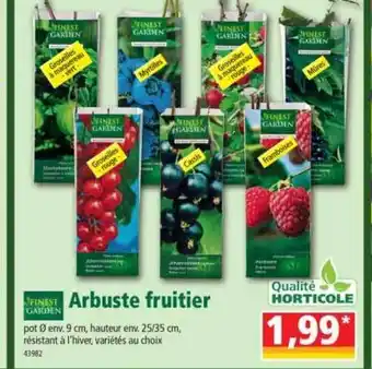 Norma Arbuste Fruitier Finest Garden offre