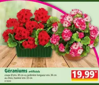 Norma Géraniums Artificiels offre
