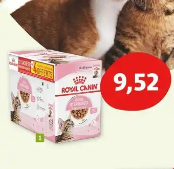 Maxi Zoo Royal canin pochons kitten offre
