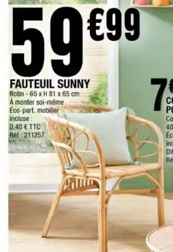 La Foir'Fouille Fauteuil Sunny offre
