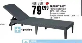La Foir'Fouille Transat Rosy offre