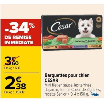Carrefour Cesar barquettes pour chien offre