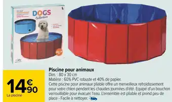 Carrefour Piscine pour animaux offre
