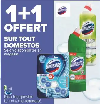 Carrefour Domestos bon plan sur tout domestos offre