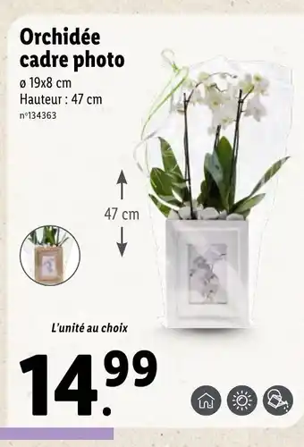 Lidl Orchidée Cadre Photo offre