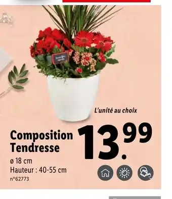 Lidl Composition Tendresse offre