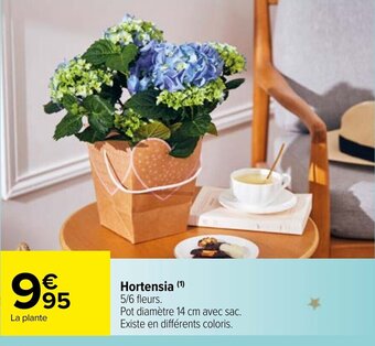 Carrefour Market Hortensia offre