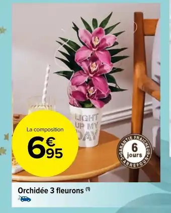 Carrefour Market Orchidée 3 Fleurons offre