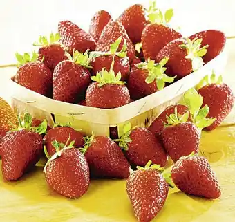 Petit Casino FRAISE VARIÉTÉ MARA DES BOIS offre