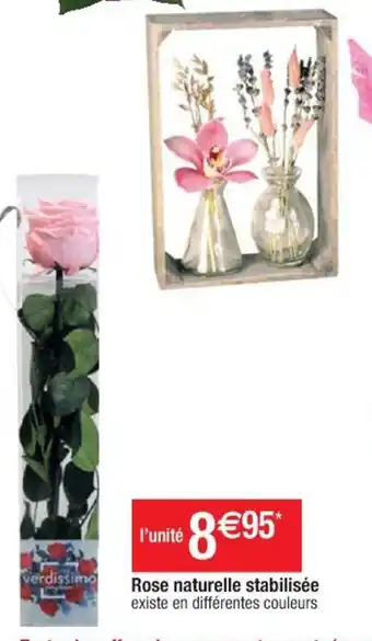 Cora x Carrefour Rose naturelle stabilisée offre