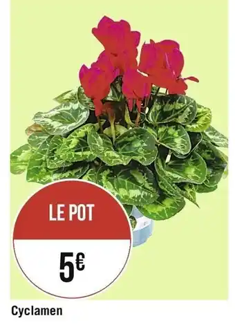 Géant Casino Cyclamen offre
