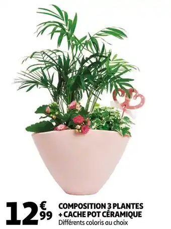 Auchan Composition 3 plantes + cache pot céramique offre
