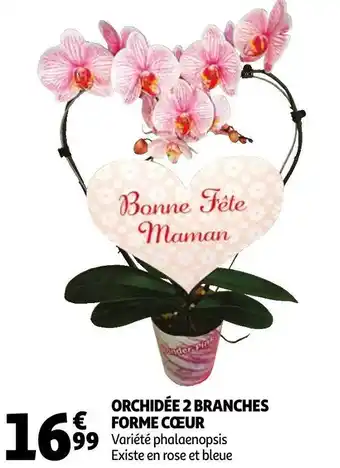 Auchan Orchidée 2 branches forme cœur offre