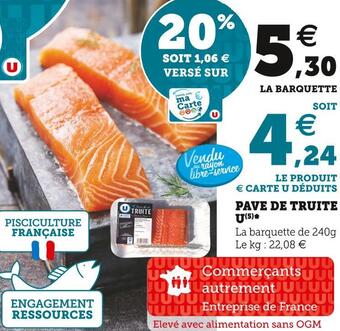 Super U U pave de truite offre