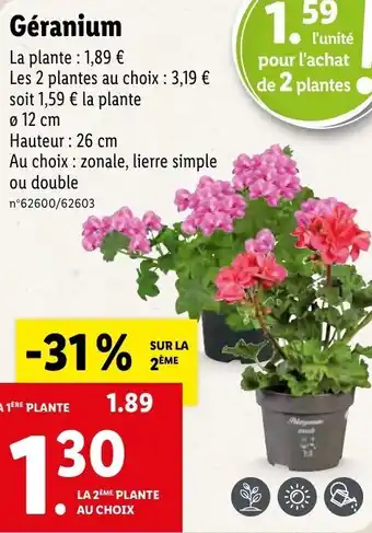 Lidl Géranium offre