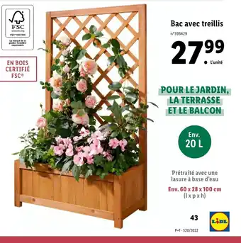 Lidl Bac avec treillis offre