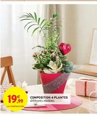 Intermarché Composition 4 Plantes offre