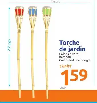 Action Torche de Jardin offre