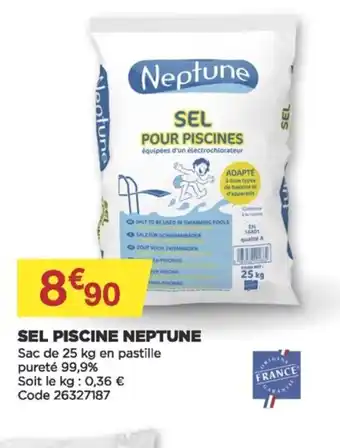 Bricomarché Sel Piscine Neptune offre
