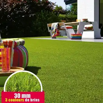 Décor Discount Gazon synthétique caïman offre