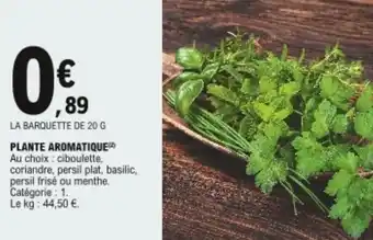 Plante aromatique