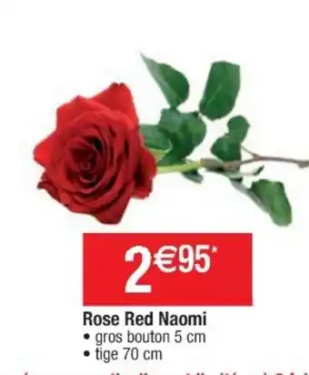 Cora x Carrefour Rose Red Naomi offre