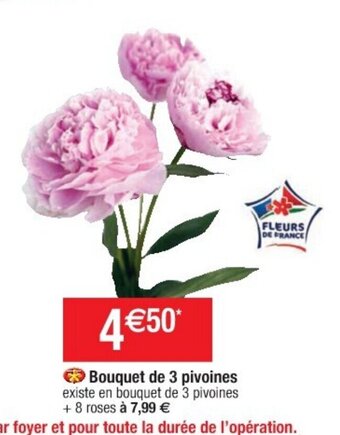 Cora x Carrefour Bouquet de 3 Pivoines offre
