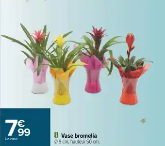 Carrefour Vase bromelia offre