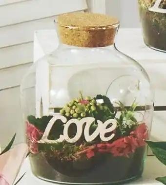 Super U Terrarium en verre offre