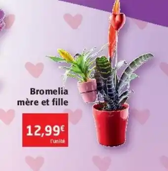Colruyt Brome lia mère et fille offre