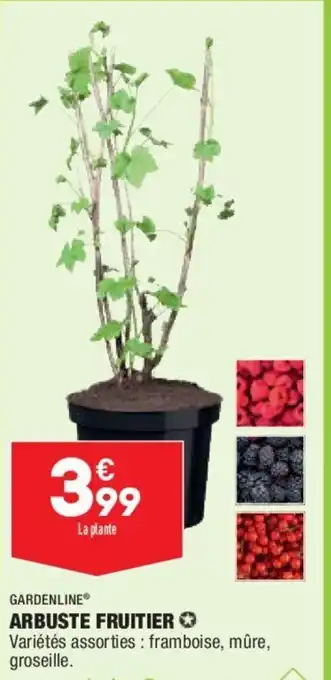 ALDI Arbuste Fruitier offre